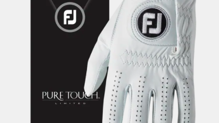 PURE TOUCH LIMITED